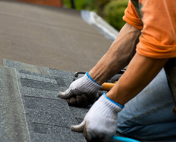 Best Roof Gutter Cleaning  in Tichigan, WI